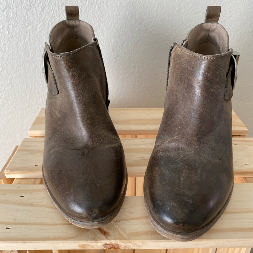 Steve Madden Ankle boots leather